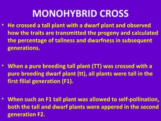 MONOHYBRID CROSS
• He crossed a tall plant with a dwarf plant and observed
how the traits are transmitted the progeny and calculated
the percentage of tallness and dwarfness in subsequent
generations.
• When a pure breeding tall plant (TT) was crossed with a
pure breeding dwarf plant (tt), all plants were tall in the
first filial generation (F1).
• When such an F1 tall plant was allowed to self-pollination,
both the tall and dwarf plants were appered in the second
generation F2.
 