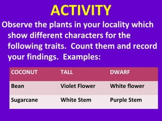 ACTIVITY
Observe the plants in your locality which
show different characters for the
following traits. Count them and record
your findings. Examples:
COCONUT TALL DWARF
Bean Violet Flower White flower
Sugarcane White Stem Purple Stem
 
