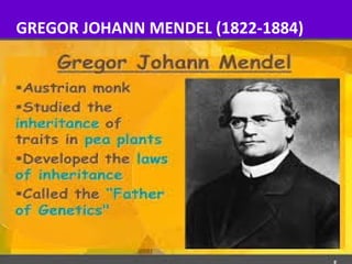GREGOR JOHANN MENDEL (1822-1884)
 