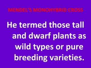 MENDEL’S MONOHYBRID CROSS
He termed those tall
and dwarf plants as
wild types or pure
breeding varieties.
 