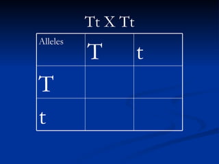 Tt X Tt t T t T Alleles