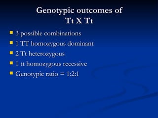 Genotypic outcomes of Tt X Tt 3 possible combinations 1 TT homozygous dominant 2 Tt heterozygous 1 tt homozygous recessive Genotypic ratio = 1:2:1