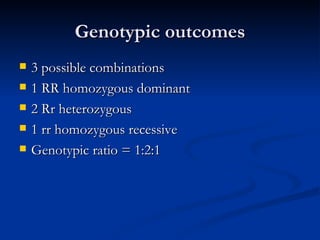 Genotypic outcomes 3 possible combinations 1 RR homozygous dominant 2 Rr heterozygous 1 rr homozygous recessive Genotypic ratio = 1:2:1