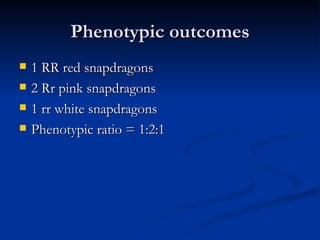 Phenotypic outcomes 1 RR red snapdragons 2 Rr pink snapdragons 1 rr white snapdragons Phenotypic ratio = 1:2:1
