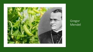 Gregor
Mendel