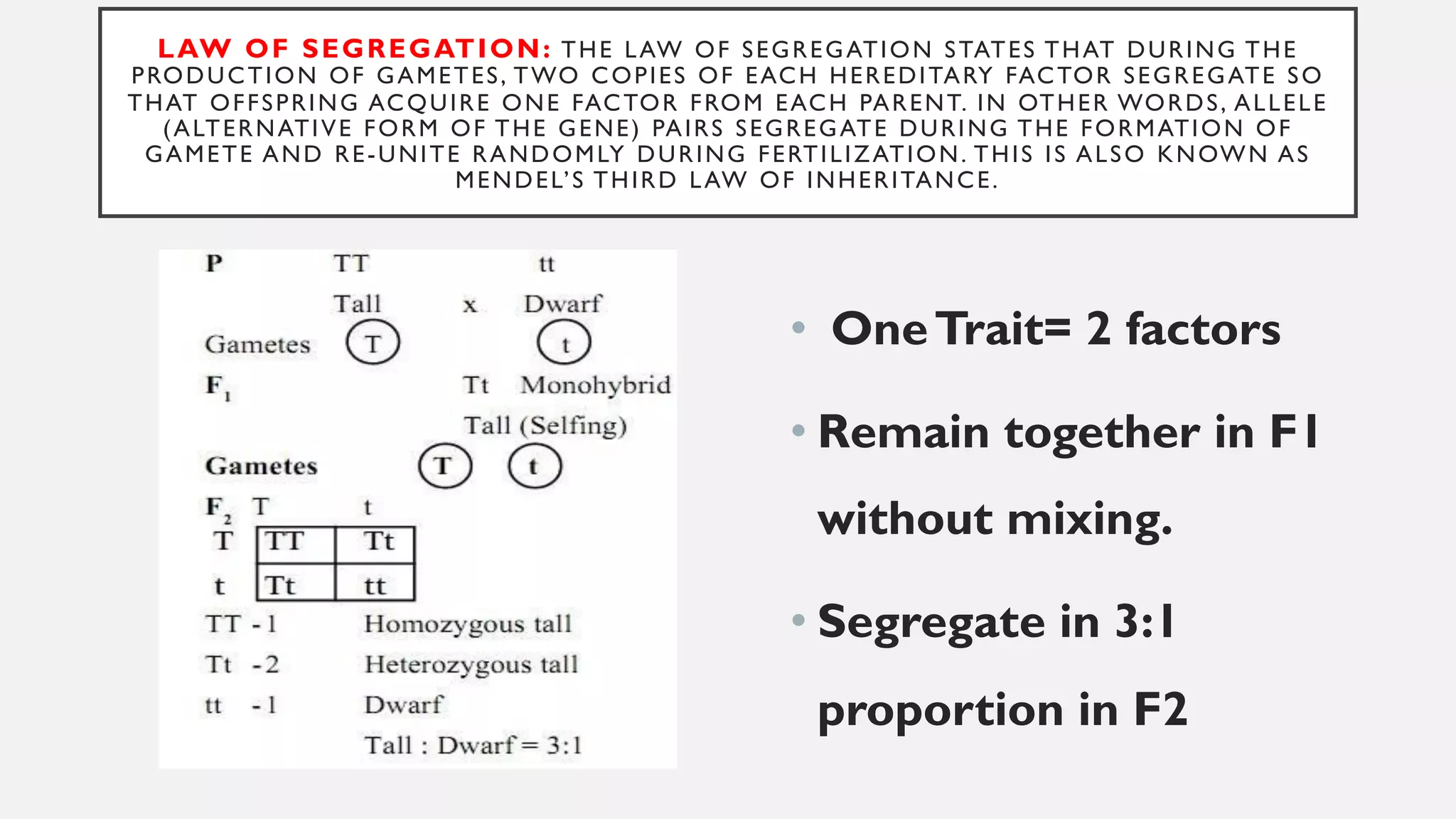 LAW OF SEGREGATION: THE LAW OF SEGREGATION STATES THAT DURING THE
PRODUCTION OF GAMETES, TWO COPIES OF EACH HEREDITARY FACTOR SEGREGATE SO
THAT OFFSPRING ACQUIRE ONE FACTOR FROM EACH PARENT. IN OTHER WORDS, ALLELE
(ALTERNATIVE FORM OF THE GENE) PAIRS SEGREGATE DURING THE FORMATION OF
GAMETE AND RE-UNITE RANDOMLY DURING FERTILIZATION. THIS IS ALSO KNOWN AS
MENDEL’S THIRD LAW OF INHERITANCE.
• OneTrait= 2 factors
• Remain together in F1
without mixing.
• Segregate in 3:1
proportion in F2
 