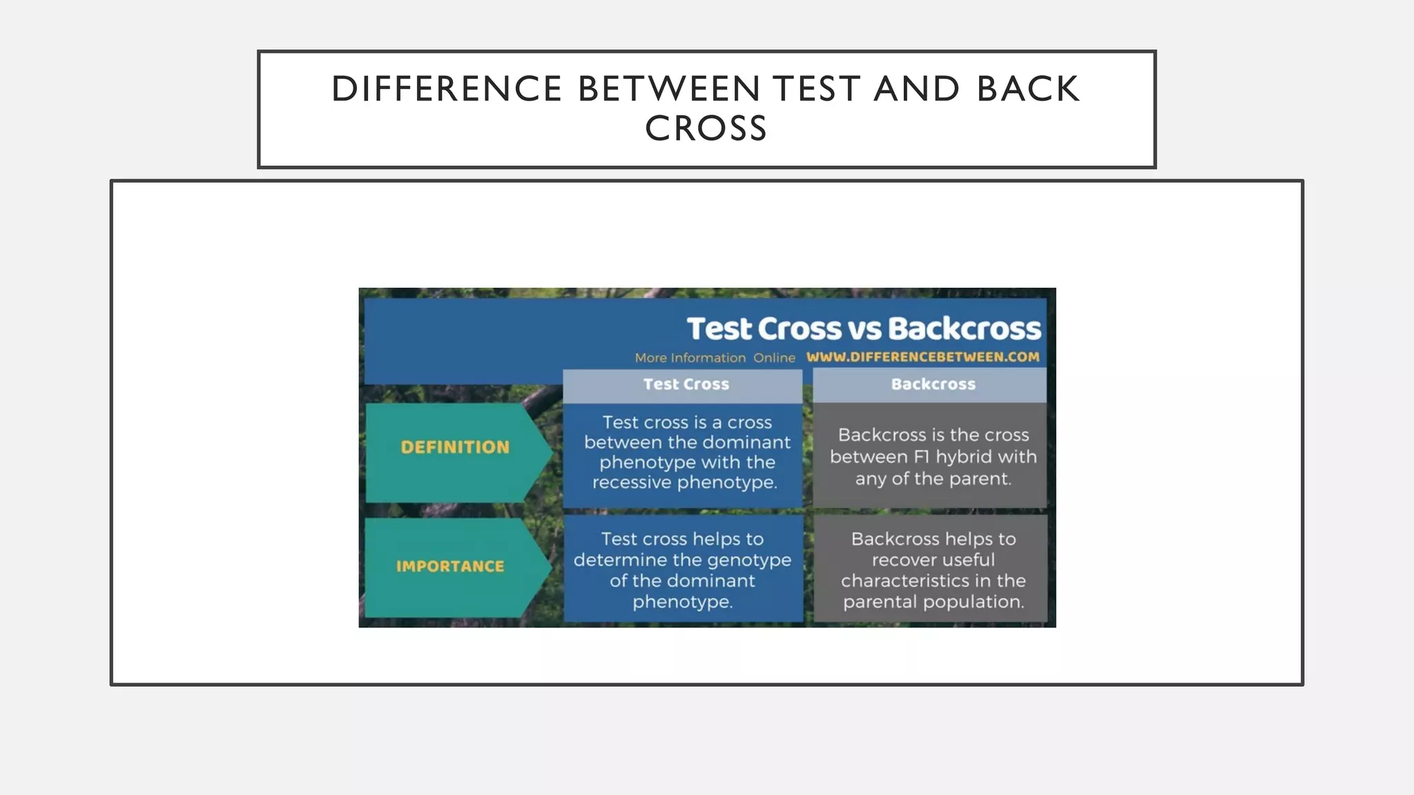 DIFFERENCE BETWEEN TEST AND BACK
CROSS
 