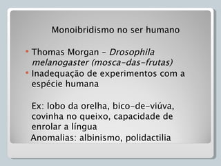 Monoibridismo no ser humano

   Thomas Morgan – Drosophila
    melanogaster (mosca-das-frutas)
   Inadequação de experimentos com a
    espécie humana

    Ex: lobo da orelha, bico-de-viúva,
    covinha no queixo, capacidade de
    enrolar a língua
    Anomalias: albinismo, polidactilia
 