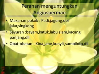 Peranan menguntungkan
Angiospermae
• Makanan pokok : Padi,jagung,ubi
jalar,singkong
• Sayuran :bayam,katuk,labu siam,kacang
panjang,dll
• Obat-obatan : Kina,jahe,kunyit,sambiloto,dll
 