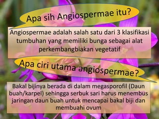 Angiospermae adalah salah satu dari 3 klasifikasi
tumbuhan yang memiliki bunga sebagai alat
perkembangbiakan vegetatif
Bakal bijinya berada di dalam megasporofil (Daun
buah/karpel) sehingga serbuk sari harus menembus
jaringan daun buah untuk mencapai bakal biji dan
membuahi ovum
 