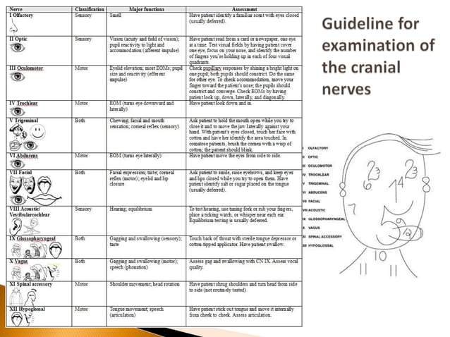 Case study: Sixth Nerve Palsy (Optometric Management) | PPT | Eye and ...