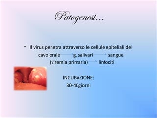 Patogenesi…

• Il virus penetra attraverso le cellule epiteliali del
        cavo orale      g. salivari       sangue
             (viremia primaria)      linfociti

                   INCUBAZIONE:
                     30-40giorni
 