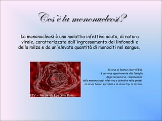 La mononucleosi è una malattia infettiva acuta, di natura
 virale, caratterizzata dall'ingrossamento dei linfonodi e
della milza e da un'elevata quantità di monociti nel sangue.



                                                     Il virus di Epstein-Barr (EBV) 
                                              è un virus appartenente alla famiglia
                                                    degli herpesvirus, responsabile
                               della mononucleosi infettiva e coinvolto nella genesi
                                di alcuni tumori epiteliali e di alcuni tipi di linfoma.
 