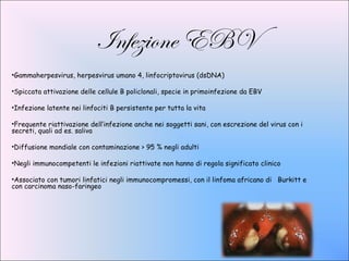 Infezione EBV
•Gammaherpesvirus, herpesvirus umano 4, linfocriptovirus (dsDNA)

•Spiccata attivazione delle cellule B policlonali, specie in primoinfezione da EBV

•Infezione latente nei linfociti B persistente per tutta la vita

•Frequente riattivazione dell’infezione anche nei soggetti sani, con escrezione del virus con i
secreti, quali ad es. saliva

•Diffusione mondiale con contaminazione > 95 % negli adulti

•Negli immunocompetenti le infezioni riattivate non hanno di regola significato clinico

•Associato con tumori linfatici negli immunocompromessi, con il linfoma africano di Burkitt e
con carcinoma naso-faringeo
 
