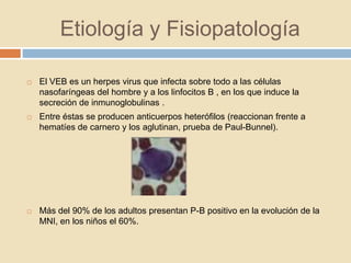 Etiología y Fisiopatología
 El VEB es un herpes virus que infecta sobre todo a las células
nasofaríngeas del hombre y a los linfocitos B , en los que induce la
secreción de inmunoglobulinas .
 Entre éstas se producen anticuerpos heterófilos (reaccionan frente a
hematíes de carnero y los aglutinan, prueba de Paul-Bunnel).
 Más del 90% de los adultos presentan P-B positivo en la evolución de la
MNI, en los niños el 60%.
 