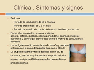 Clínica . Síntomas y signos
 Períodos:
- Período de incubación: de 30 a 45 días.
- Período prodrómico: de 7 a 14 días.
- Período de estado: de comienzo brusco ó insidioso, cursa con:
 Fiebre alta, escalofríos, sudores, malestar
general, cefalea, mialgias, edema periorbitario, anorexia, malestar
abdominal y odinofagia, siendo este último el motivo de consulta más
frecuente.
 Las amígdalas están aumentadas de tamaño y pueden observarse
petequias en la unión del paladar duro con el blando .
 La erupción cutánea viral se describe en un 5% de
los casos, pero es muy frecuente la erupción máculo-
papular pruriginosa (90%) en aquellos que recibieron
aminopenicilinas.
 