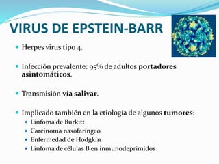 VIRUS DE EPSTEIN-BARR
 Herpes virus tipo 4.
 Infección prevalente: 95% de adultos portadores
asintomáticos.
 Transmisión vía salivar.
 Implicado también en la etiología de algunos tumores:
 Linfoma de Burkitt
 Carcinoma nasofaríngeo
 Enfermedad de Hodgkin
 Linfoma de células B en inmunodeprimidos
 