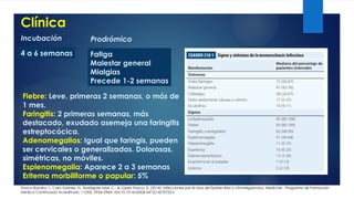 Clínica
Tinoco Racero, I., Caro Gómez, N., Rodríguez Leal, C., & López Tinoco, E. (2014). Infecciones por el virus de Epstein-Barr y citomegalovirus. Medicine - Programa de Formación
Médica Continuada Acreditado, 11(50), 2954–2964. doi:10.1016/s0304-5412(14)70722-x
Incubación Prodrómico
4 a 6 semanas Fatiga
Malestar general
Mialgias
Precede 1-2 semanas
Fiebre: Leve, primeras 2 semanas, o más de
1 mes.
Faringitis: 2 primeras semanas, más
destacado, exudado asemeja una faringitis
estreptocócica.
Adenomegalias: Igual que faringis, pueden
ser cervicales o generalizadas. Dolorosas,
simétricas, no móviles.
Esplenomegalia: Aparece 2 a 3 semanas
Eritema morbiliforme o papular: 5%
 