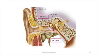 prepared by: Bhargavi Mistry 16
 