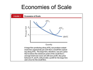 Economies of Scale