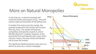 Monopoly Notes - A-level & IB Economics | PDF