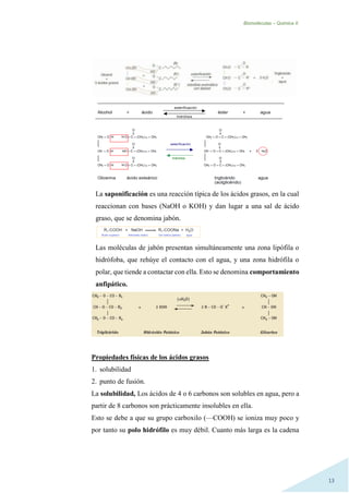Biomoléculas – Quimica II.
13
La saponificación es una reacción típica de los ácidos grasos, en la cual
reaccionan con bases (NaOH o KOH) y dan lugar a una sal de ácido
graso, que se denomina jabón.
Las moléculas de jabón presentan simultáneamente una zona lipófila o
hidrófoba, que rehúye el contacto con el agua, y una zona hidrófila o
polar, que tiende a contactar con ella. Esto se denomina comportamiento
anfipático.
Propiedades físicas de los ácidos grasos
1. solubilidad
2. punto de fusión.
La solubilidad, Los ácidos de 4 o 6 carbonos son solubles en agua, pero a
partir de 8 carbonos son prácticamente insolubles en ella.
Esto se debe a que su grupo carboxilo (—COOH) se ioniza muy poco y
por tanto su polo hidrófilo es muy débil. Cuanto más larga es la cadena
 