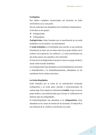 Biomoléculas – Quimica II.
17
Fosfolípidos.
Son lípidos complejos caracterizados por presentar un ácido
ortofosfórico en su zona polar.
Son las moléculas mas abundantes de la membrana citoplasmática.
Se dividen en dos grupos:
 fosfoglicéridos
 Esfingolípidos
Fosfoglicéridos, Están formados por la esterificación de un ácido
fosfatídico con un alcohol o un aminoalcohol.
El ácido fosfatídico es el fosfolípido más sencillo, es una molécula
formada por la unión por un enlace éster de un grupo fosfato con el
carbono 3 de la glicerina. Los carbonos 1 y 2 están esterificados con
dos ácidos grasos uno saturado y otro insaturado.
El resto de los fosfoglicéridos tiene por lo menos un grupo alcohol o
amino unido al ácido fosfatídico.
Los fosfoglicéridos más abundantes son la fosfatidilserina, la lecitina
o fosfatidilcolina y la fosfatidiletanolamina, (abundantes en las
membranas de las células eucariotas)
Los fosfoesfíngolípidos
Están formados por la unión de un aminoalcohol insaturado
(esfingosina) y un ácido graso saturado o monoinsaturados de
cadena larga. Este conjunto se denomina ceramida, al que se une un
grupo fosfato y una molécula polar que es la que va a diferenciar los
distintos tipos de esfingolípidos.
El fosfoesfingolípido más abundante es la esfingomielina, (muy
abundante en las vainas de mielina de las neuronas). El radical R es
una molécula de ác. fosfórico esterificada con colina
 