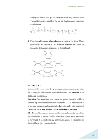 Biomoléculas – Quimica II.
21
conjugados, lo que hace que los electrones estén muy deslocalizados
y sean fácilmente excitables. De ahí su función como pigmentos
fotosintéticos.
4. Entre los politerpenos, el caucho, que se obtiene del árbol Hevea
brasiliensis. El caucho es un polímero formado por miles de
moléculas de isopreno, dispuestas de forma lineal.
ESTEROIDES
Los esteroides comprenden dos grandes grupos de sustancias, derivados
de la molecula ciclopentano perhidrofenantreno: los esteroles y las
hormonas esteroideas.
Esteroles. Son esteroides que poseen un grupo hidroxilo unido al
carbono 3 y una cadena alifática en el carbono 17. Los esteróles son el
grupo más numeroso de los esteroides. Los principales esteróles son el
colesterol, los ácidos biliares, las vitaminas D y el estradiol.
El colesterol forma parte estructural de las membranas de las células
de los animales, a las que confiere estabilidad debido a que disminuye
la movilidad de las moléculas de fosfolípidos, ya que se sitúa entre los
fosfolípidos y fija a estas moléculas.
 