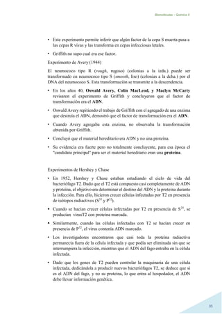 Biomoléculas – Quimica II.
35
• Este experimento permite inferir que algún factor de la cepa S muerta pasa a
las cepas R vivas y las transforma en cepas infecciosas letales.
• Griffith no supo cual era ese factor.
Experimento de Avery (1944)
El neumococo tipo R (rough, rugoso) (colonias a la izda.) puede ser
transformado en neumococo tipo S (smooth, liso) (colonias a la dcha.) por el
DNA del neumococo S. Esta transformación se transmite a la descendencia.
• En los años 40, Oswald Avery, Colin MacLeod, y Maclyn McCarty
revisaron el experimento de Griffith y concluyeron que el factor de
transformación era el ADN.
• Oswald Avery repitiendo el trabajo de Griffith con el agregado de una enzima
que destruía el ADN, demostró que el factor de transformación era el ADN.
• Cuando Avery agregaba esta enzima, no observaba la transformación
obtenida por Griffith.
• Concluyó que el material hereditario era ADN y no una proteína.
• Su evidencia era fuerte pero no totalmente concluyente, para esa época el
"candidato principal" para ser el material hereditario eran una proteína.
Experimentos de Hershey y Chase
• En 1952, Hershey y Chase estaban estudiando el ciclo de vida del
bacteriófago T2. Dado que el T2 está compuesto casi completamente de ADN
y proteína, el objetivo era determinar el destino del ADN y la proteína durante
la infección. Para ello, hicieron crecer células infectadas por T2 en presencia
de isótopos radiactivos (S35
y P32
).
 Cuando se hacían crecer células infectadas por T2 en presencia de S35
, se
producían virusT2 con proteína marcada.
 Similarmente, cuando las células infectadas con T2 se hacían crecer en
presencia de P32
, el virus contenía ADN marcado.
• Los investigadores encontraron que casi toda la proteína radiactiva
permanecía fuera de la célula infectada y que podía ser eliminada sin que se
interrumpiera la infección, mientras que el ADN del fago entraba en la célula
infectada.
• Dado que los genes de T2 pueden controlar la maquinaria de una célula
infectada, dedicándola a producir nuevos bacteriófagos T2, se deduce que si
es el ADN del fago, y no su proteína, lo que entra al hospedador, el ADN
debe llevar información genética.
 