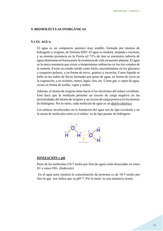 Biomoléculas – Quimica II.
51
5. BIOMOLÉCULAS INORGÁNICAS
5.1 EL AGUA
El agua es un compuesto químico muy estable, formado por átomos de
hidrogeno y oxígeno, de formula H2O. El agua es inodora, insípida e incolora,
y su enorme presencia en la Tierra (el 71% de ésta se encuentra cubierta de
agua) determina en buena parte la existencia de vida en nuestro planeta. El agua
es la única sustancia que existe a temperaturas ordinarias en los tres estados de
la materia. Existe en estado sólido como hielo, encontrándose en los glaciares
y casquetes polares, y en forma de nieve, granizo y escarcha. Como líquido se
halla en las nubes de lluvia formadas por gotas de agua, en forma de rocío en
la vegetación, y en océanos, mares, lagos, ríos, etc. Como gas, o vapor de agua,
existe en forma de niebla, vapor y nubes.
Además, el átomo de oxígeno atrae hacia sí los electrones del enlace covalente.
Esto hace que la molécula presente un exceso de carga negativa en las
proximidades del átomo de oxígeno yun exceso de carga positiva en los átomos
de hidrógeno. Por lo tanto, cada molécula de agua es un dipolo eléctrico.
Los enlaces involucrados en la formacion del agua son de tipo covalente y en
la union de moleculas entre si el enlace es de tipo puente de hidrogeno
IONIZACIÓN y pH
Parte de las moléculas (10-7 moles por litro de agua) están disociadas en iones
H+ e iones OH-. (hidroxilo)
En el agua pura (neutra) la concentración de protones es de 10-7 moles por
litro lo que nos indica que su pH=7. Por lo tanto: es una sustancia neutra
 