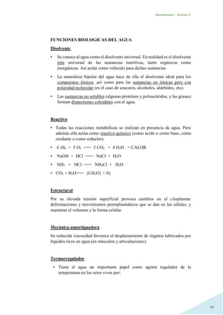 Biomoléculas – Quimica II.
54
FUNCIONES BIOLOGICAS DEL AGUA
Disolvente.
• Se conoce al agua como el disolvente universal. En realidad es el disolvente
más universal de las sustancias nutritivas, tanto orgánicas como
inorgánicas. Así actúa como vehículo para dichas sustancias.
• La naturaleza bipolar del agua hace de ella el disolvente ideal para los
compuestos iónicos ,así como para las sustancias no iónicas pero con
polaridad molecular (es el caso de azucares, alcoholes, aldehídos, etc).
• Las sustancias no solubles (algunas proteínas y polisacáridos, y las grasas)
forman dispersiones coloidales con el agua.
Reactivo
• Todas las reacciones metabólicas se realizan en presencia de agua. Pero
además ella actúa como reactivo químico (como ácido o como base, como
oxidante o como reductor).
• C3H8 + 5 O2 === 3 CO2 + 4 H2O + CALOR
• NaOH + HCl === NaCl + H2O
• NH3 + HCl === NH4Cl + H2O
• CO2 + H2O=== {CH2O} + O2
Estructural
Por su elevada tensión superficial provoca cambios en el citoplasma:
deformaciones y movimientos protoplasmáticos que se dan en las células; y
mantiene el volumen y la forma celular.
Mecánica-amortiguadora
Su reducida viscosidad favorece el desplazamiento de órganos lubricados por
líquidos ricos en agua (en músculos y articulaciones).
Termorregulador
• Tiene el agua un importante papel como agente regulador de la
temperatura en los seres vivos por:
 