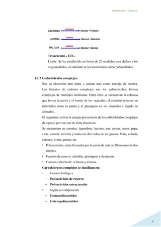 Biomoléculas – Quimica II.
6
Trisacáridos , ETC.
Límite: Se ha establecido un límite de 20 unidades para definir a los
oligosacáridos, en adelante se les mencionará como polisacáridos.
1.2.2 Carbohidratos complejos:
Son de absorción más lenta, y actúan más como energía de reserva.
Los hidratos de carbono complejos son los polisacáridos; formas
complejas de múltiples moléculas. Entre ellos se encuentran la celulosa
que forma la pared y el sostén de los vegetales; el almidón presente en
tubérculos como la patata y el glucógeno en los músculos e hígado de
animales.
El organismo utiliza la energía proveniente de los carbohidratos complejos
de a poco, por eso son de lenta absorción.
Se encuentran en cereales, legumbres, harinas, pan, pastas, arroz, papa,
elote, camote, tortillas y todos los derivados de los granos. Maíz, cebada,
centeno, avena, pastas, etc
• Polisacáridos: están formados por la unión de más de 20 monosacáridos
simples.
• Función de reserva: almidón, glucógeno y dextranos.
• Función estructural: celulosa y xilanos.
Carbohidratos complejos se clasifican en:
• Función biológica
– Polisacáridos de reserva
– Polisacáridos estructurales
• Según su composición
– Homopolisacáridos
– Heteropolisacáridos
 