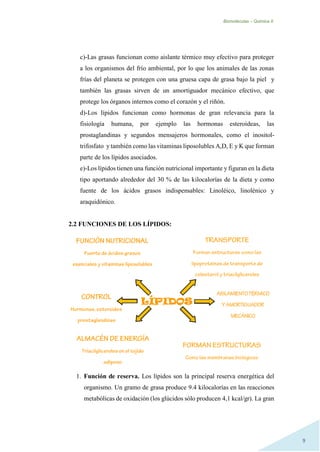 Biomoléculas – Quimica II.
9
c)-Las grasas funcionan como aislante térmico muy efectivo para proteger
a los organismos del frío ambiental, por lo que los animales de las zonas
frías del planeta se protegen con una gruesa capa de grasa bajo la piel y
también las grasas sirven de un amortiguador mecánico efectivo, que
protege los órganos internos como el corazón y el riñón.
d)-Los lípidos funcionan como hormonas de gran relevancia para la
fisiología humana, por ejemplo las hormonas esteroideas, las
prostaglandinas y segundos mensajeros hormonales, como el inositol-
trifosfato y también como las vitaminas liposolubles A,D, E y K que forman
parte de los lípidos asociados.
e)-Los lípidos tienen una función nutricional importante y figuran en la dieta
tipo aportando alrededor del 30 % de las kilocalorías de la dieta y como
fuente de los ácidos grasos indispensables: Linoléico, linolénico y
araquidónico.
2.2 FUNCIONES DE LOS LÍPIDOS:
1. Función de reserva. Los lípidos son la principal reserva energética del
organismo. Un gramo de grasa produce 9.4 kilocalorías en las reacciones
metabólicas de oxidación (los glúcidos sólo producen 4,1 kcal/gr). La gran
 