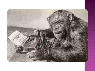 Utpl_Larysa Nosach_Computación Básica_Monos