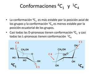 Conformaciones 4C1   y  1C4La conformación 4C1  es más estable por la posición axial de los grupos y la conformación 1C4 es menos estable por la posición ecuatorial de los grupos.Casi todas las D-piranosas tienen conformación 4C1  y casi todas las L-piranosas tienen conformación  1C44C1 1C4