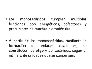 • Los monosacáridos cumplen múltiples
  funciones: son energéticos, cofactores y
  precursores de muchas biomoléculas

• A partir de los monosacáridos, mediante la
  formación de enlaces covalentes, se
  constituyen los oligo y polisacáridos, según el
  número de unidades que se condensen.
 