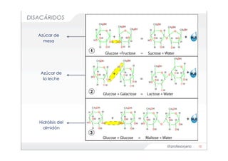 @profesorjano
DISACÁRIDOS
12
Azúcar de
la leche
Hidrólisis del
almidón
Azúcar de
mesa
 