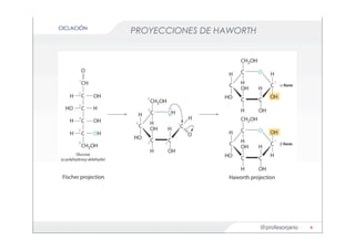 @profesorjano
PROYECCIONES DE HAWORTH
8
CICLACIÓN
 