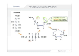 @profesorjano
PROYECCIONES DE HAWORTH
9
CICLACIÓN
 