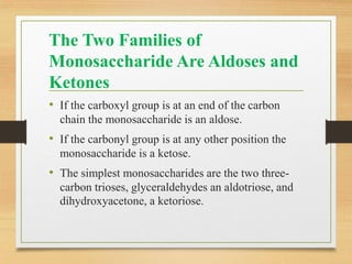 The Two Families of
Monosaccharide Are Aldoses and
Ketones
• If the carboxyl group is at an end of the carbon
chain the monosaccharide is an aldose.
• If the carbonyl group is at any other position the
monosaccharide is a ketose.
• The simplest monosaccharides are the two three-
carbon trioses, glyceraldehydes an aldotriose, and
dihydroxyacetone, a ketoriose.
 
