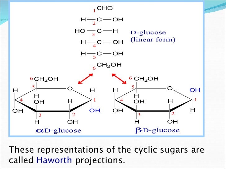 Monosaccharides