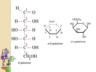 a-D-galactose




D-galactose
 