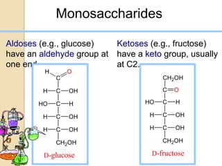Monosaccharides

Aldoses (e.g., glucose)   Ketoses (e.g., fructose)
have an aldehyde group at have a keto group, usually
one end.                  at C2.
         H       O
             C                         CH2OH

         H   C   OH                    C   O

        HO   C   H                HO   C   H

         H   C   OH                H   C   OH

         H   C   OH                H   C   OH

             CH2OH                     CH2OH

         D-glucose                 D-fructose
 