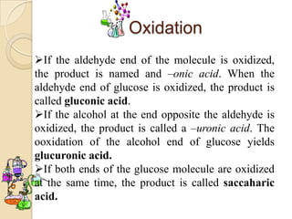 Oxidation
If the aldehyde end of the molecule is oxidized,
the product is named and –onic acid. When the
aldehyde end of glucose is oxidized, the product is
called gluconic acid.
If the alcohol at the end opposite the aldehyde is
oxidized, the product is called a –uronic acid. The
ooxidation of the alcohol end of glucose yields
glucuronic acid.
If both ends of the glucose molecule are oxidized
at the same time, the product is called saccaharic
acid.
 