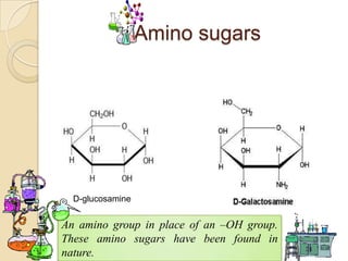 Amino sugars




  D-glucosamine


An amino group in place of an –OH group.
These amino sugars have been found in
nature.
 