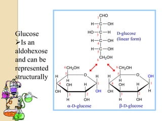 1
                                               CHO

                                       H       C   OH
                                           2
                                      HO       C   H
Glucose                                    3               D-glucose
                                                   OH (linear form)
Is an                                 H
                                           4
                                               C

                                       H       C   OH
aldohexose                                 5
                                               CH2OH
and can be                                 6

represented            6 CH2OH                             6 CH2OH
                       5          O                        5           O
structurally   H
                       H
                                           H       H
                                                            H
                                                                             OH
                   4                       1           4                     1
as                     OH         H                         OH         H
               OH                          OH      OH                        H
                           3       2                           3       2
                        H         OH                        H          OH
                           -D-glucose                         -D-glucose
 