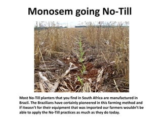 Monosem going No-Till
Most No-Till planters that you find in South Africa are manufactured in
Brazil. The Brazilians have certainly pioneered in this farming method and
if itwasn’t for their equipment that was imported our farmers wouldn’t be
able to apply the No-Till practices as much as they do today.
 