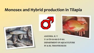 Monosex and Hybrid production in Tilapia
ANJUSHA. K. V
U-18-TN-03-002-D-F-001
DEPARTMENT OF AQUACULTURE
FC & RI, THOOTHUKUDI
 