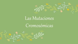 Las Mutaciones
Cromosómicas
 