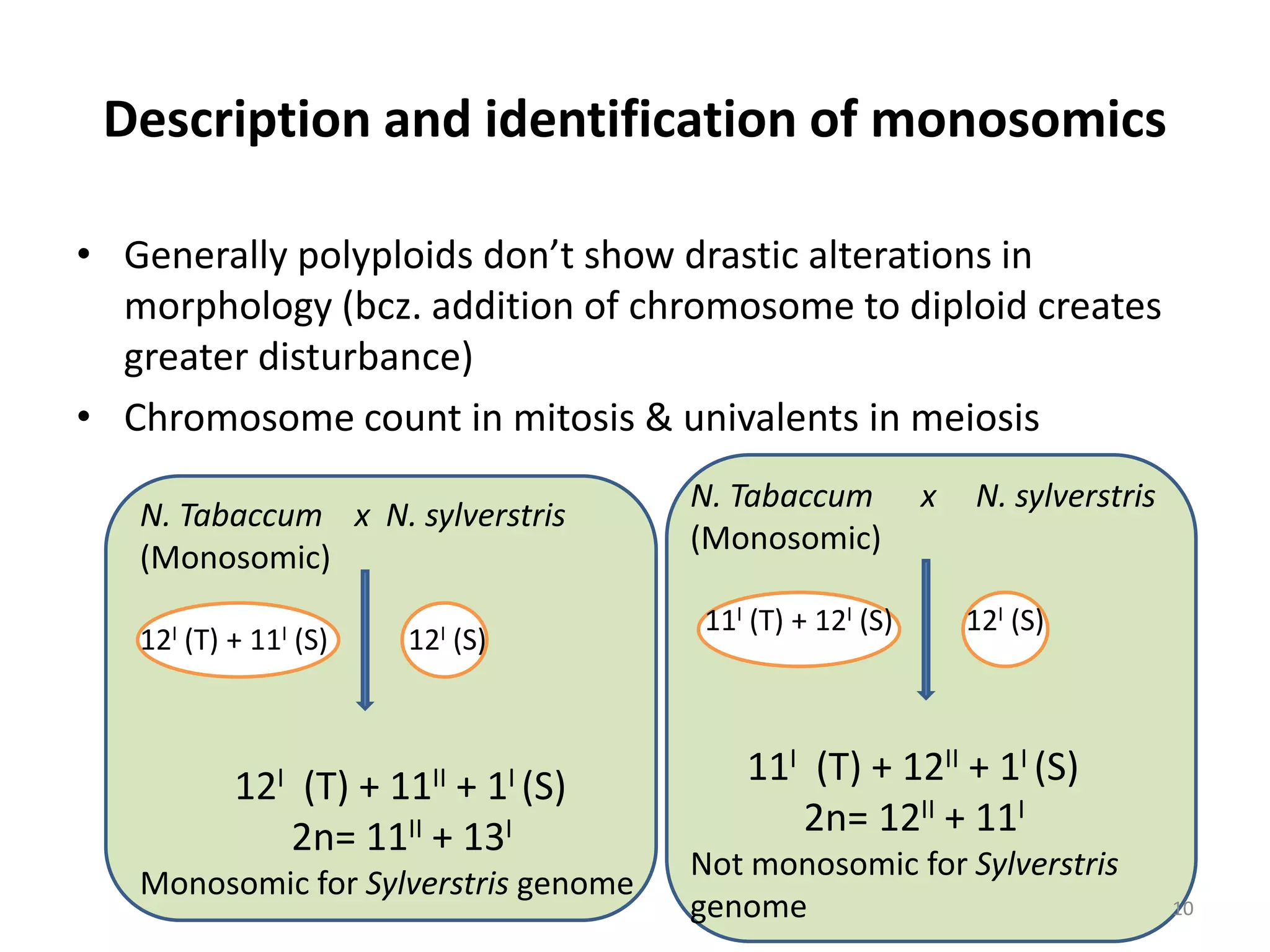 Description and identification of monosomics
• Generally polyploids don’t show drastic alterations in
morphology (bcz. addition of chromosome to diploid creates
greater disturbance)
• Chromosome count in mitosis & univalents in meiosis
N. Tabaccum x N. sylverstris
(Monosomic)
12I (T) + 11I (S) 12I (S)
12I (T) + 11II + 1I (S)
2n= 11II + 13I
Monosomic for Sylverstris genome
N. Tabaccum x N. sylverstris
(Monosomic)
11I (T) + 12I (S) 12I (S)
11I (T) + 12II + 1I (S)
2n= 12II + 11I
Not monosomic for Sylverstris
genome 10
 